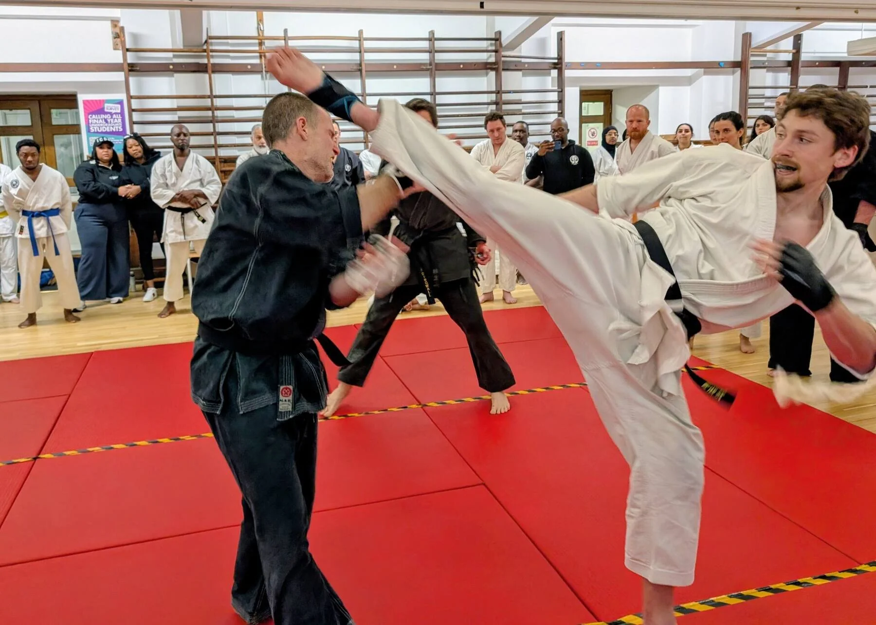 goju-karate.webp